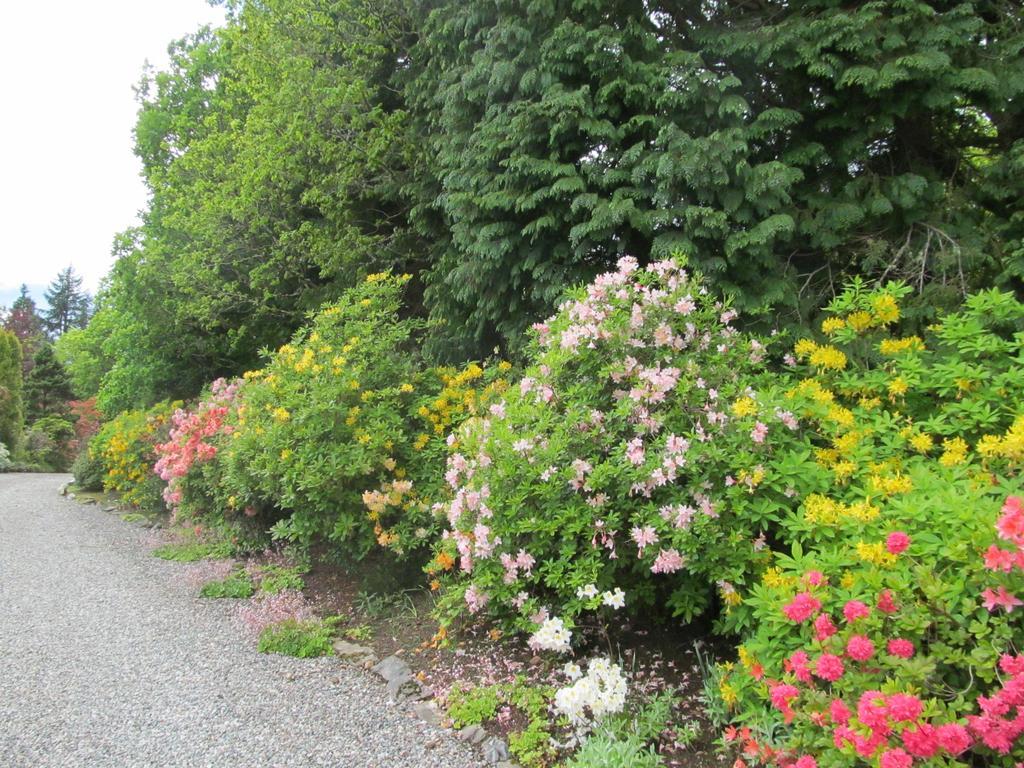 Torbeag House Bed and Breakfast Fort William Exteriör bild